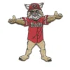 Arizona Diamondbacks Mascot logo patch