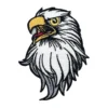 American Bald Eagle Face Patch