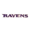 Baltimore Ravens "Ravens" Wordmark Logo Patch