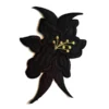 Black orchid lily embroidered patch