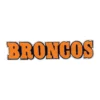 Denver Broncos 3D Script Text Patch