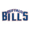 Buffalo Bills Vintage Wordmark Patch