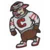 Carolina Hurricanes Stormy Mascot Patch