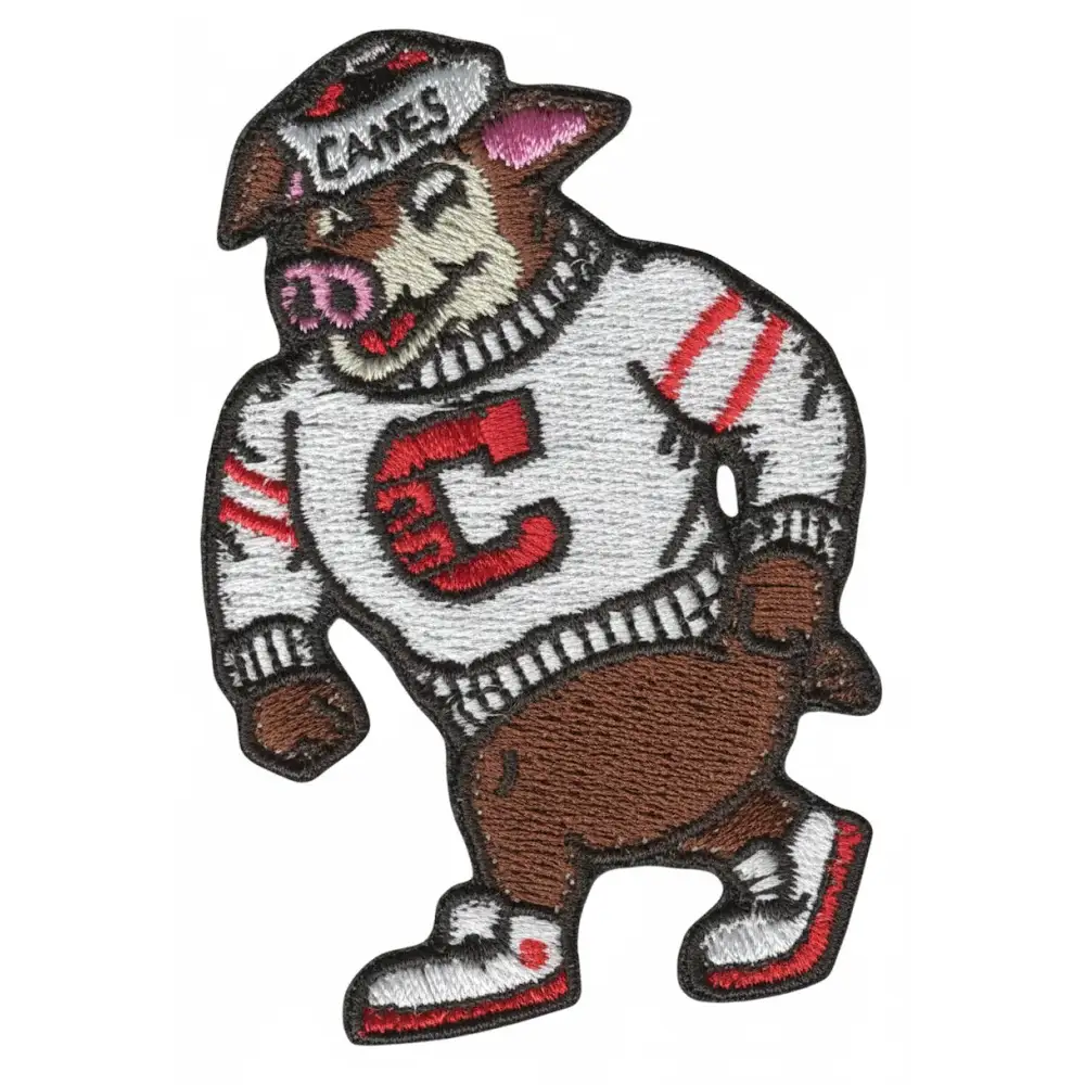 Carolina Hurricanes Stormy Mascot Patch
