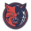 Charlotte Bobcats Round Logo Patch