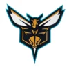 Charlotte hornets primary logo patch