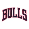 Chicago Bulls "BULLS" Red Outline Patch