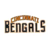Cincinnati Bengals 3D Bold Script Patch