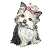 Long haired shih tzu dog white patch