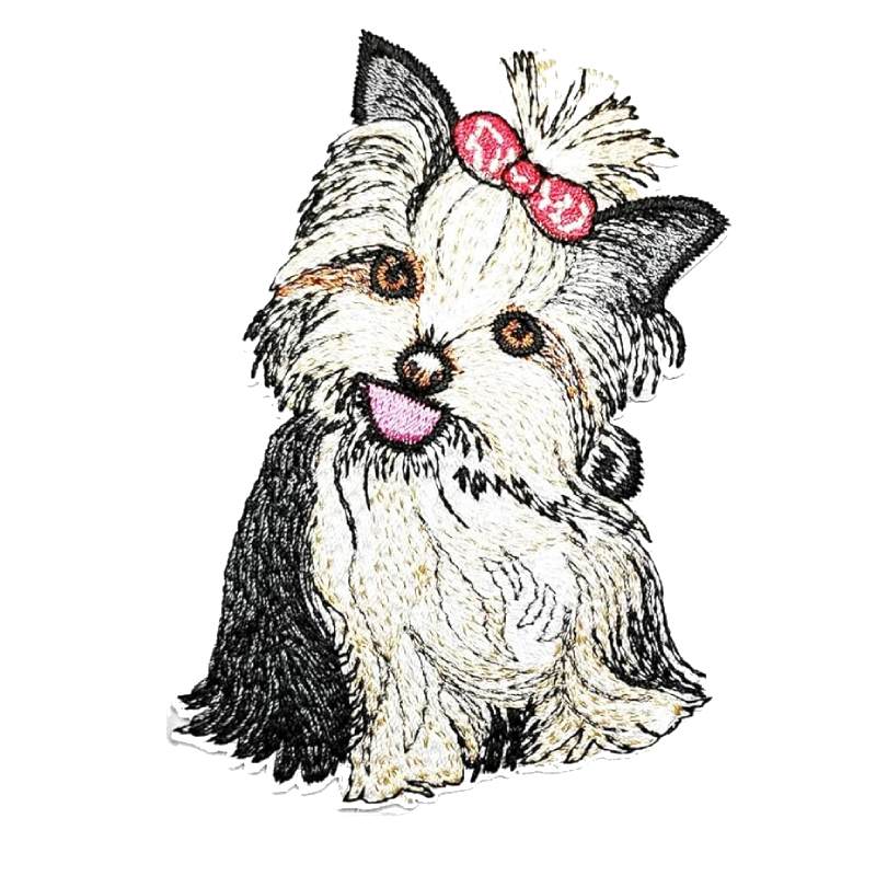 Long haired shih tzu dog white patch