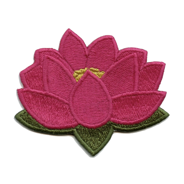 Pink Lotus Flower Patch