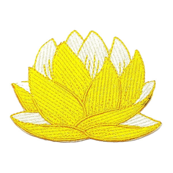 Lotus Blooming Yellow Flower Patch