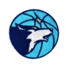 Minnesota Timberwolves Wolf Head Logo Patch