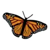Monarch butterfly embroidered patch