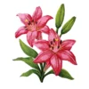 Lily Pink Floral Flower Stargazer Patch
