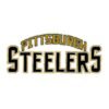 Pittsburgh steelers 8 1