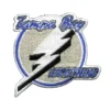 Tampa bay lightning script logo embroidered patch