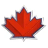 Toronto Maple Red Leafs Logo Patch