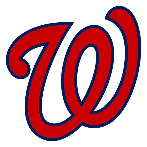 Washington Nationals Patches