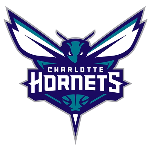 Charlotte Hornets Patches