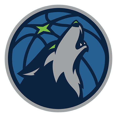 Minnesota Timberwolves Patches