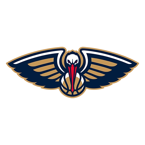 New Orleans Pelicans Patches