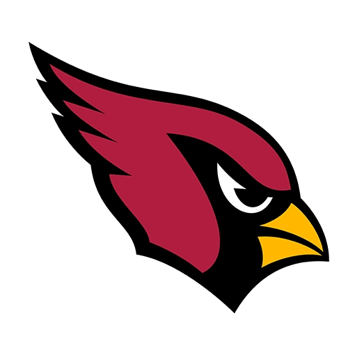 Arizona Cardinals Patches
