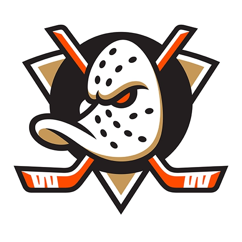 Anaheim Ducks Patches