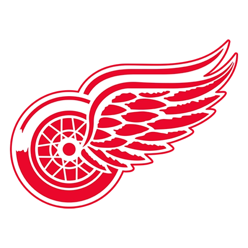 Detroit Red Wings Patches