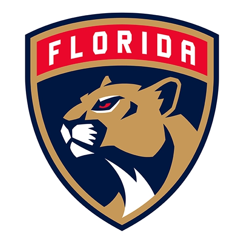 Florida Panthers Patches