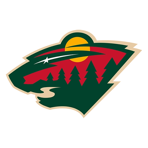 Minnesota Wild Patches