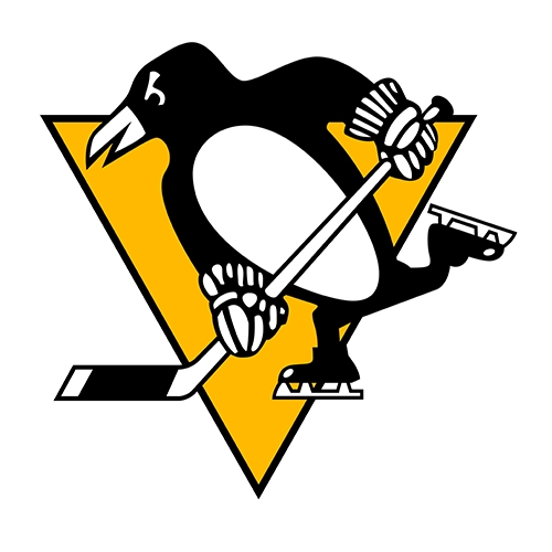 Pittsburgh Penguins Patches